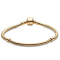 Golden Snake Chain Bracelet
